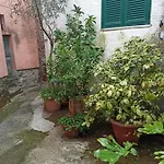 Country House