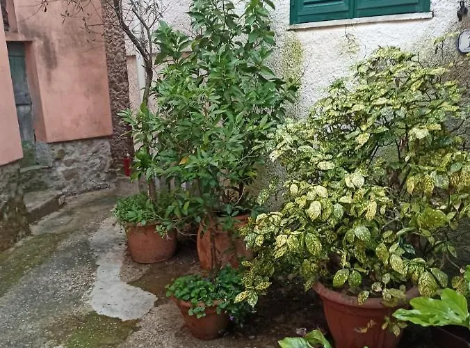 Country House
